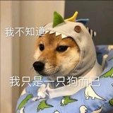 阁江