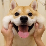 阿游