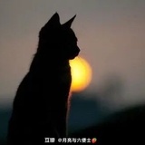关离今