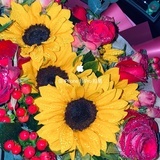 暴走的西兰花🥦