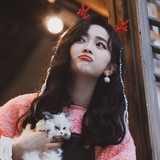 盈yya