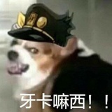 月亮🌙