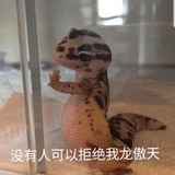 低调低调刘某某