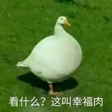 山风