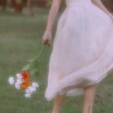 花花小飞絮