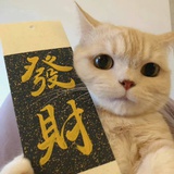 周之尔嘉