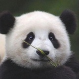aaaaa