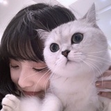 爱韩语的团团