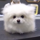 谁不在乎我在乎