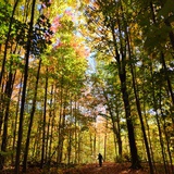 🍁随便看看🍁