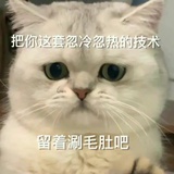 我是真的真的菜