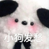 Amei Ding