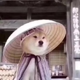 长命百岁