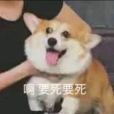 我来看看