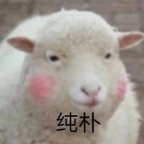 一颗小桂圆啊