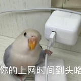 香辣蟹老板