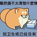 我纸盒呢
