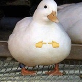 重生了