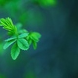 健康119