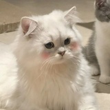 esther.sueren