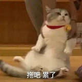 XXYY