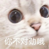 比西尼思