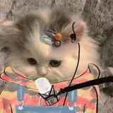 䳛䳶䲃
