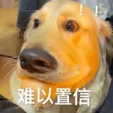 好！好！好！