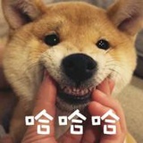 读书明智