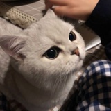 快乐肥宅水