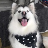面包