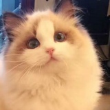 豆友217308605