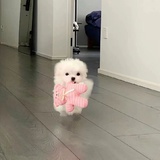 啦啦啦种太阳