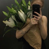 不吃鱼nofish