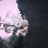 每天就知道干饭