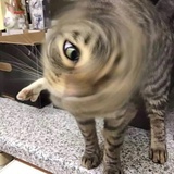 麻辣烫里加什么