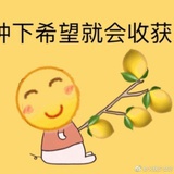 柠檬树下你和我