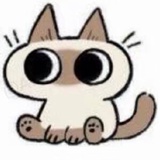 想养只猫猫虫