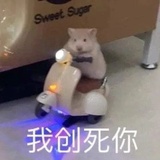 疯争与疯