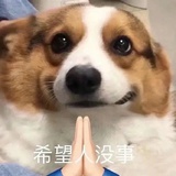 骄阳