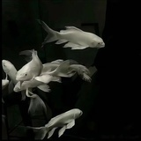 末末