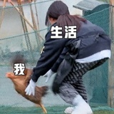 芜菁
