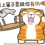 什麼都覺得無聊
