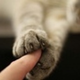 想歇歇