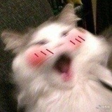遇晚星