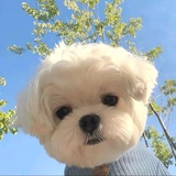 你的好友