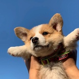 给我冲！！