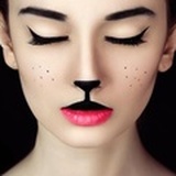 酷猫世界