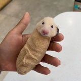 来去之间