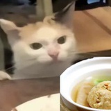 通灵顽石